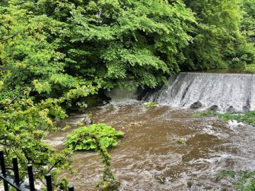 Water of Leith