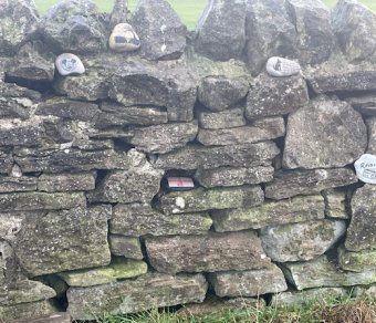wall