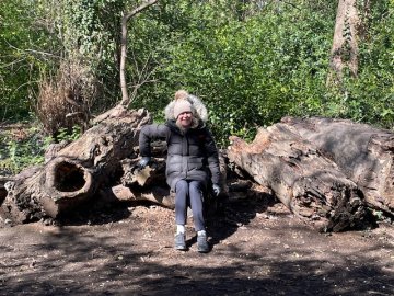 logs